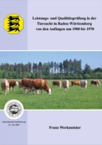 MLP Geschichte MLP Geschichte