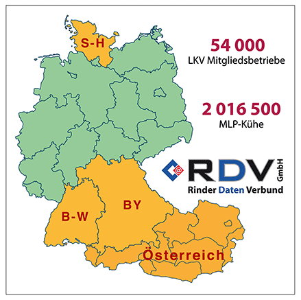 Logo RDV Gmbh