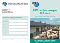 Flyer Herdenmanager Schwein