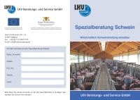 Flyer Spezialberatung Schweine