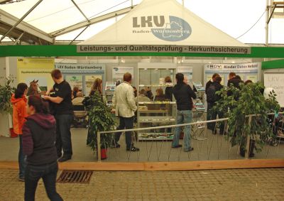 LKV-Stand Hauptfest