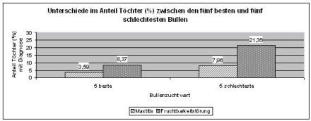 Gmon Auswertung Bullen